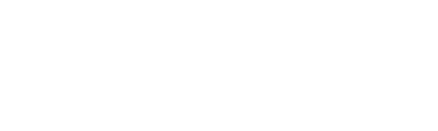 Departamento de Física · Facultad de Ciencia · Universidad de Santiago de Chile